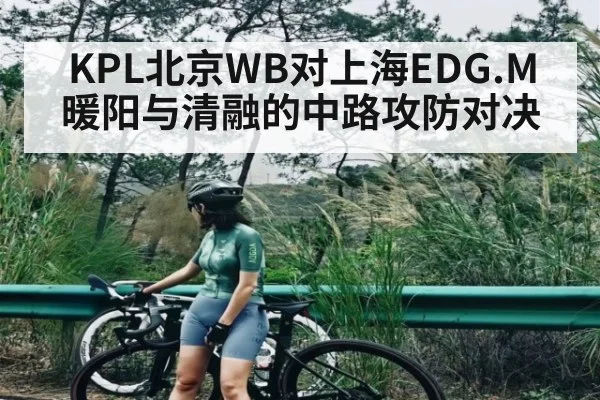 KPL北京WB对上海EDG.M 暖阳与清融的中路攻防对决