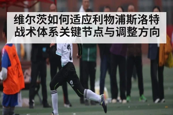 维尔茨如何适应利物浦斯洛特战术体系关键节点与调整方向